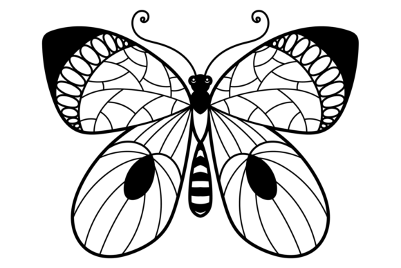 Download Ornate Butterfly with Decorative Pattern - Decorative Collection